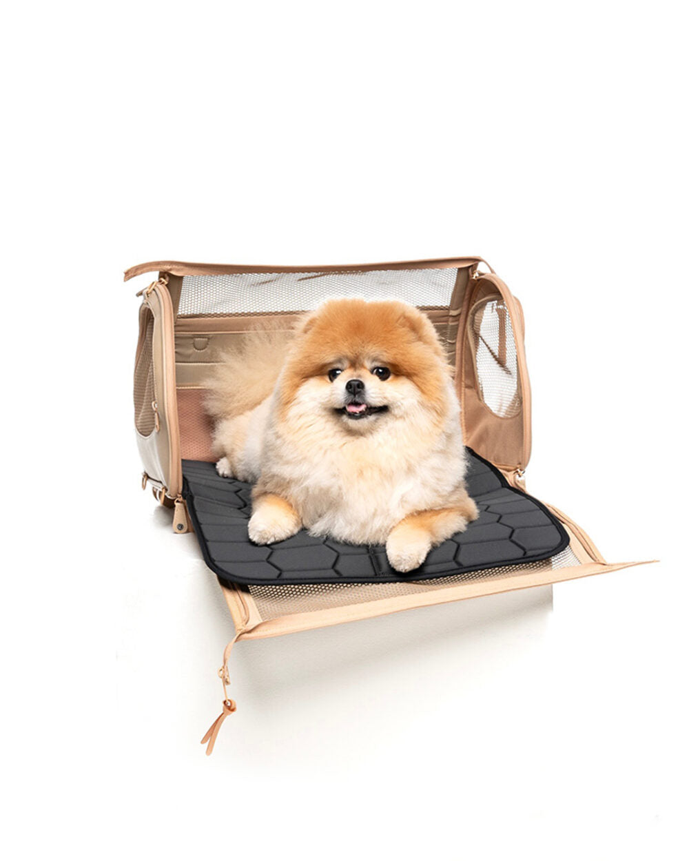 TRAVEL CARRIER CREAM